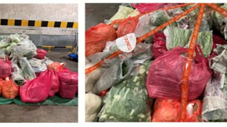 760kg of Illegal Food Produce Import Ends In S$16.8k Fine