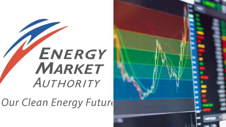 How Does the Singapore Electricity Market Work?
