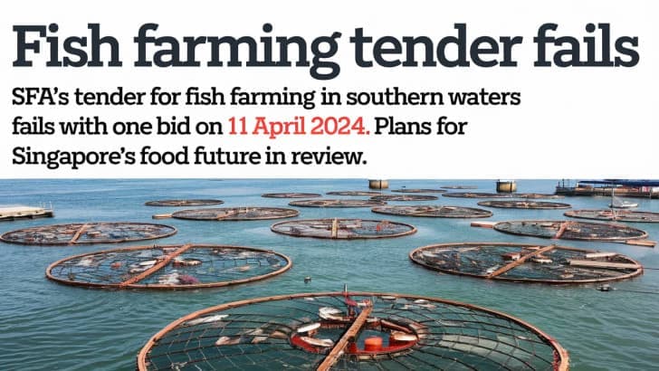 SFA Tender Fails: No Suitable Bid for Fish Farming Spaces