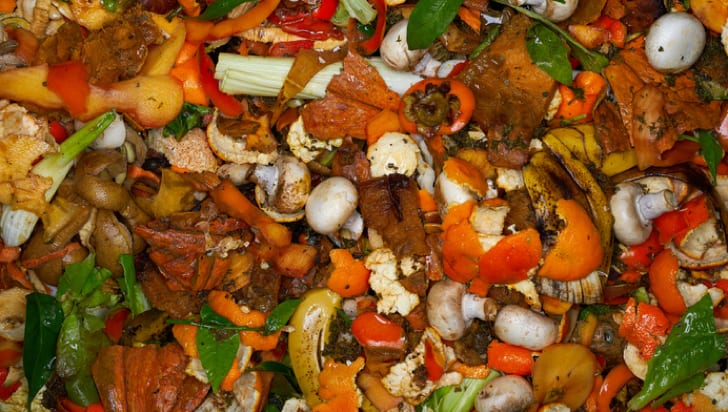Mountain of Food Waste