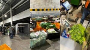 Food Safety Win: 1,500kg of Illegal Produce Confiscated!